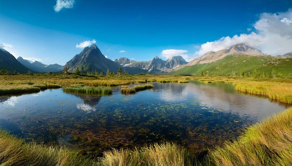 Découvrez les trésors de la boutique bouddhiste en ligne