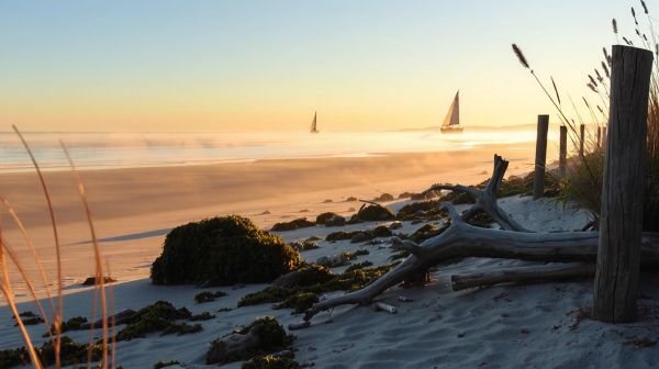 Voyage écologique : le guide ultime pour un tourisme responsable